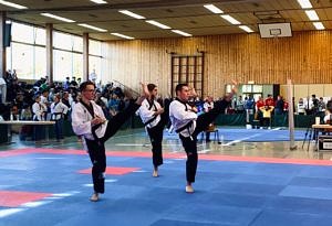 DHM Taekwondo
